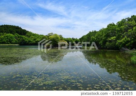 ◇Suhama Shrine / Hayashida area, Himeji City, Hyogo Prefecture - Nishiike (also known as "Kamoike") ◇Suhama Shrine / Hayashida area, Himeji City, Hyogo Prefecture - Nishiike (also known as "Kamoike") 139712055