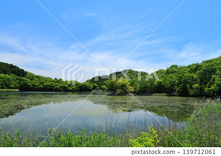 ◇Suhama Shrine / Hayashida area, Himeji City, Hyogo Prefecture - Nishiike (also known as "Kamoike") 139712061