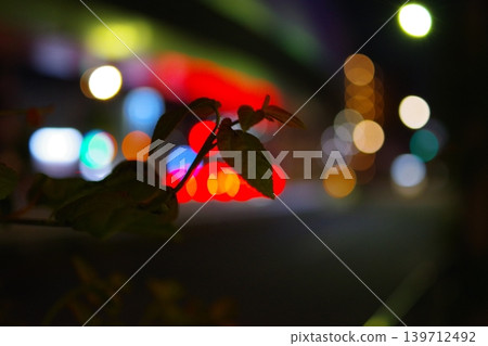 夜光照亮樹葉 夜光照亮樹葉 139712492