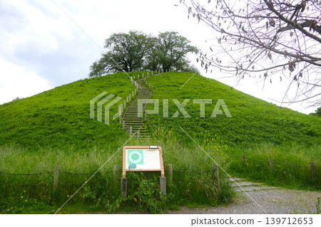 丸房山古墳（埼玉古墳群） 139712653