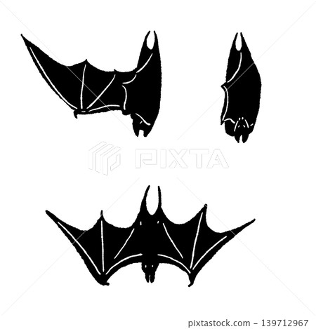 Two black bats hanging upside down and flying straight ahead. Two black bats hanging upside down and flying straight ahead. 139712967