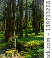 Jizo in the forest 139713268
