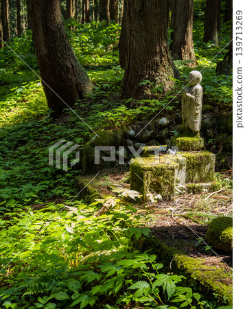 Moss-covered Jizo statue Moss-covered Jizo statue 139713269
