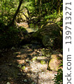 Small waterfall in the forest 139713271