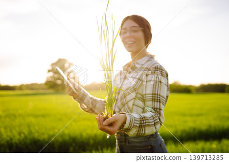 Close-up of a young woman farmer in glasses holding young sprout in her hands on green wheat field. Close-up of a young woman farmer in glasses holding young sprout in her hands on green wheat field. 139713285