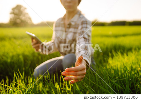 Close-up of a young woman farmer in glasses holding young sprout in her hands on green wheat field. Close-up of a young woman farmer in glasses holding young sprout in her hands on green wheat field. 139713300