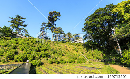 Odawara Castle Ruins in Early Summer Odawara Castle Ruins in Early Summer 139713301