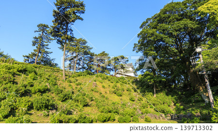 初夏的小田原城遺址 初夏的小田原城遺址 139713302