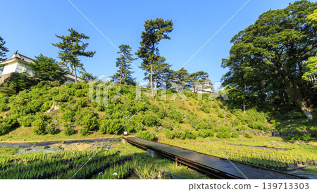 初夏的小田原城遺址 初夏的小田原城遺址 139713303