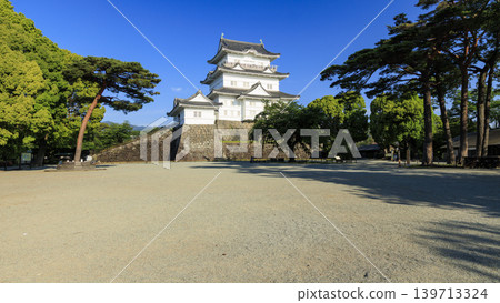 初夏的小田原城遺址 初夏的小田原城遺址 139713324