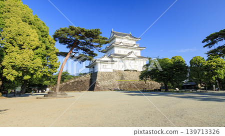 Odawara Castle Ruins in Early Summer Odawara Castle Ruins in Early Summer 139713326