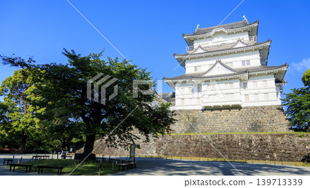 初夏的小田原城遺址 139713339