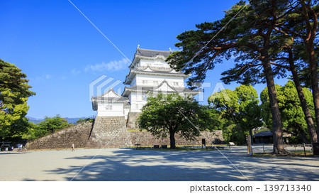Odawara Castle Ruins in Early Summer Odawara Castle Ruins in Early Summer 139713340