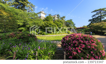 Odawara Castle Ruins in Early Summer Odawara Castle Ruins in Early Summer 139713347