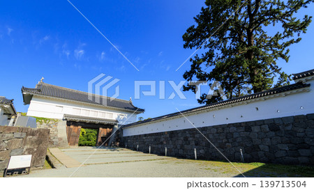 初夏的小田原城遺址 139713504