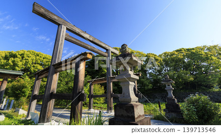 Early summer at Hotoku Ninomiya Shrine Early summer at Hotoku Ninomiya Shrine 139713546