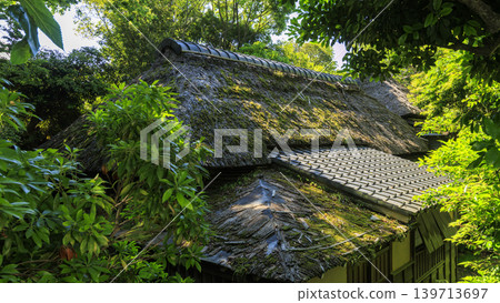 Kamotatean in Oiso Town Kamotatean in Oiso Town 139713697