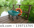 Scenic view of a quiet lake surrounded by weeping willow trees from a wooden dock 139713705