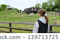 Child Watching Alpacas in a Zoo Enclosure 139713725