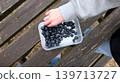 Child Eating a Healthy Fruit Snack Outdoors 139713727