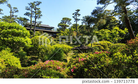 Early summer at Meiji Memorial Oiso Residence Garden Early summer at Meiji Memorial Oiso Residence Garden 139713778