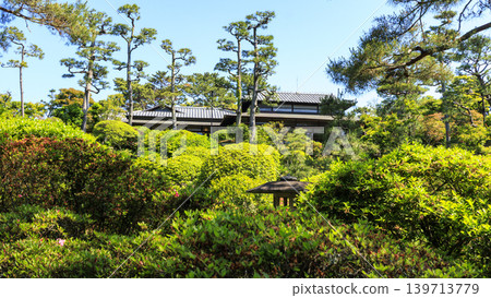Early summer at Meiji Memorial Oiso Residence Garden Early summer at Meiji Memorial Oiso Residence Garden 139713779