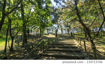明治紀念大磯居園初夏時節 明治紀念大磯居園初夏時節 139713786