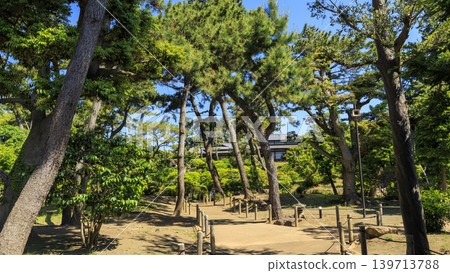 明治紀念大磯居園初夏時節 139713788