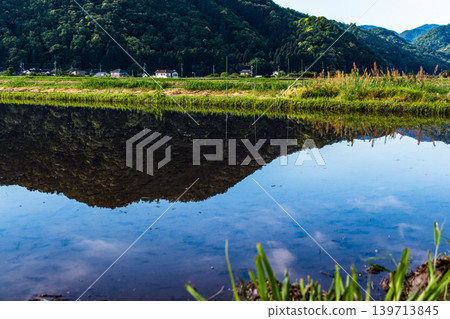 水稻插秧前,稻田裡注滿了水,倒映著鄉村景觀。 水稻插秧前,稻田裡注滿了水,倒映著鄉村景觀。 139713845
