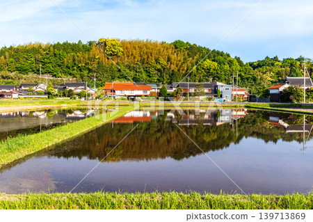 A rural landscape reflected in a rice paddy filled with water before rice planting. A rural landscape reflected in a rice paddy filled with water before rice planting. 139713869