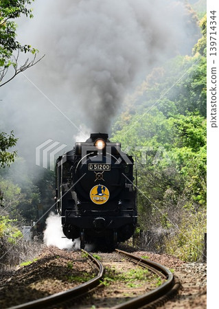 山口線上的 SL 山口號列車飛馳而過著名的拍照地點－大山3號平交道。 139714344