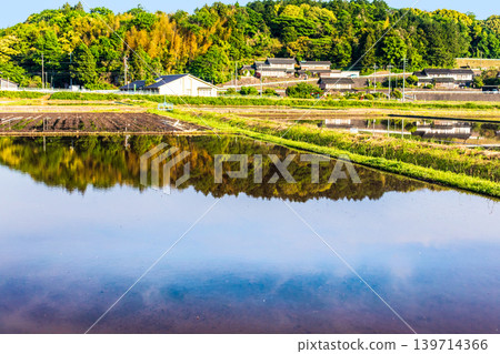 A rural landscape reflected in a rice paddy filled with water before rice planting. A rural landscape reflected in a rice paddy filled with water before rice planting. 139714366