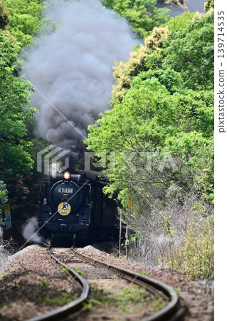 山口線上的 SL 山口號列車飛馳而過著名的拍照地點-大山3號平交道。 山口線上的 SL 山口號列車飛馳而過著名的拍照地點-大山3號平交道。 139714535