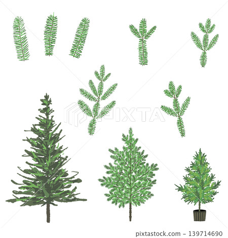 杉樹及樹枝葉片組合套裝,聖誕裝飾材料,透明背景 杉樹及樹枝葉片組合套裝,聖誕裝飾材料,透明背景 139714690