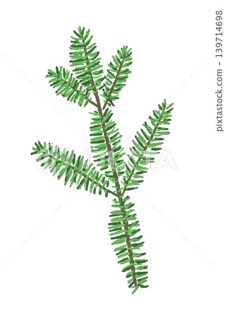 單杉樹枝和樹葉的插圖，植物裝飾材料，透明背景，2 139714698