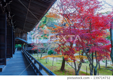 Autumn leaves of Komyoji Autumn leaves of Komyoji 139714732