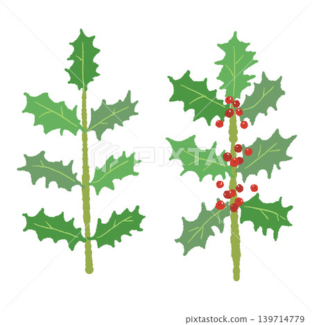 Holly branch illustration set, Christmas decoration material, transparent background 139714779