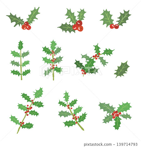 Holly branch and leaf assortment set, Christmas material, transparent background 139714793