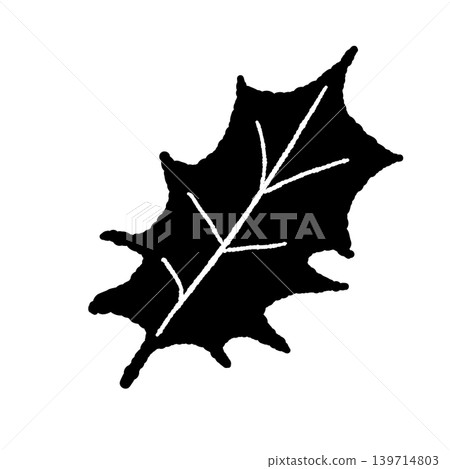 Monochrome illustration of a single holly leaf; botanical background with transparent background. Monochrome illustration of a single holly leaf; botanical background with transparent background. 139714803