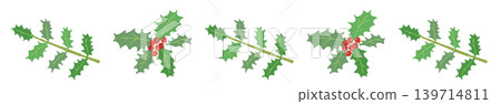Holly branch and leaf border decoration Christmas design material Transparent background illustration 2 Holly branch and leaf border decoration Christmas design material Transparent background illustration 2 139714811