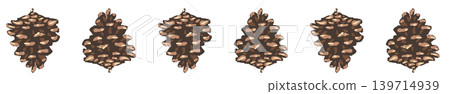 Rolling pine cone line border decoration illustration, facing upwards, transparent background. Rolling pine cone line border decoration illustration, facing upwards, transparent background. 139714939