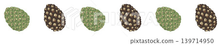 Round pine cone line border decoration illustration, mixed green, wide spacing, transparent background. Round pine cone line border decoration illustration, mixed green, wide spacing, transparent background. 139714950