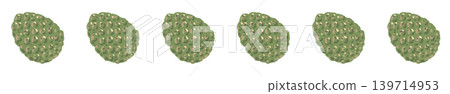 Green young pine cone line border decorative illustration with transparent background 139714953