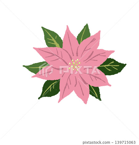 Poinsettia illustration (single flower), pink flower, botanical material, Christmas background (transparent) Poinsettia illustration (single flower), pink flower, botanical material, Christmas background (transparent) 139715063
