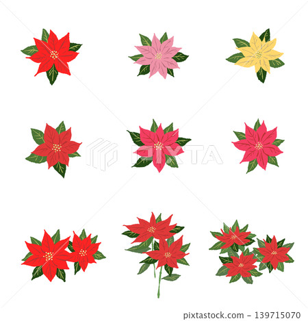 Poinsettia Mixed Color Flower Assortment Set, Botanical Decorative Parts, Transparent Background Poinsettia Mixed Color Flower Assortment Set, Botanical Decorative Parts, Transparent Background 139715070