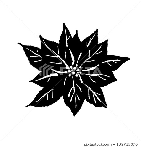 Poinsettia single monochrome illustration, botanical material, Christmas background transparent 2 Poinsettia single monochrome illustration, botanical material, Christmas background transparent 2 139715076