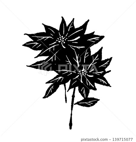 Poinsettia single monochrome illustration, botanical material, Christmas background transparent 3 Poinsettia single monochrome illustration, botanical material, Christmas background transparent 3 139715077