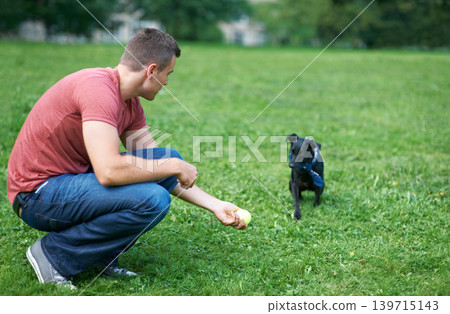Man, dog and play ball at outdoor park for bonding connection, grass field for sports training. Male person, pet animal and fun equipment for catch throw in environment for love, care or friendship Man, dog and play ball at outdoor park for bonding connection, grass field for sports training. Male person, pet animal and fun equipment for catch throw in environment for love, care or friendship 139715143