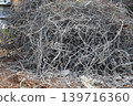 Demolition site Demolition site 139716360