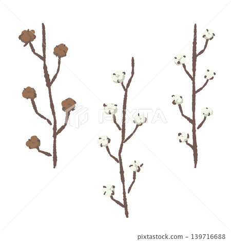 棉花枝和漿果插圖套裝,植物裝飾素材,透明背景。 棉花枝和漿果插圖套裝,植物裝飾素材,透明背景。 139716688